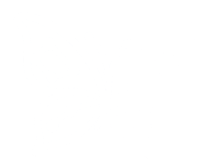 METAMORPHORCES logo